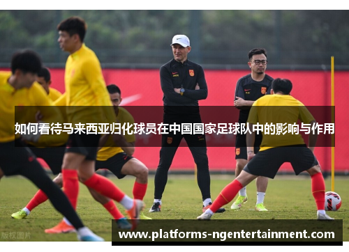如何看待马来西亚归化球员在中国国家足球队中的影响与作用