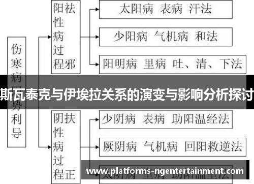 斯瓦泰克与伊埃拉关系的演变与影响分析探讨