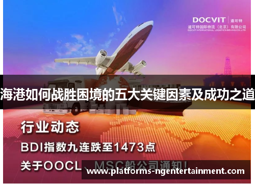 海港如何战胜困境的五大关键因素及成功之道