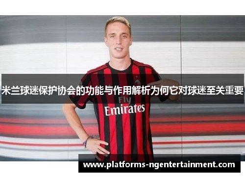 米兰球迷保护协会的功能与作用解析为何它对球迷至关重要