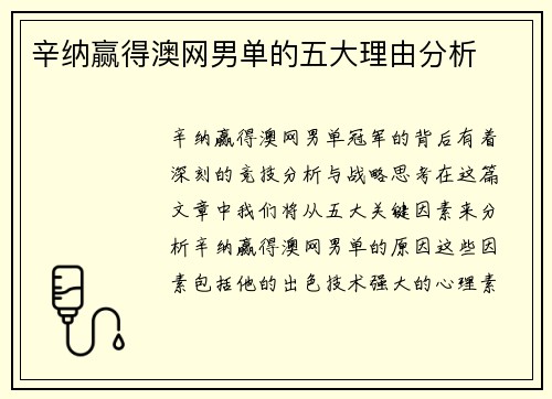 辛纳赢得澳网男单的五大理由分析