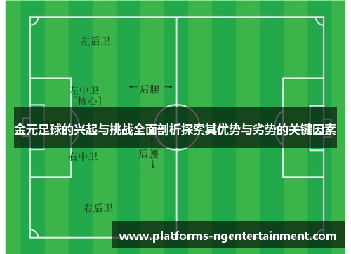 金元足球的兴起与挑战全面剖析探索其优势与劣势的关键因素