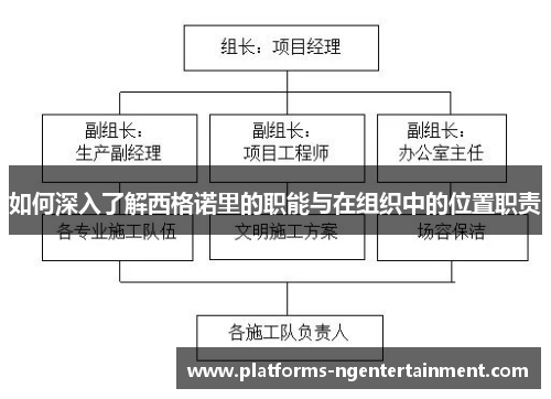 如何深入了解西格诺里的职能与在组织中的位置职责