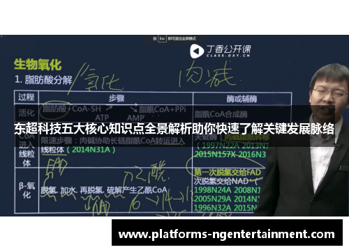 东超科技五大核心知识点全景解析助你快速了解关键发展脉络 东超科技五大核心知识点全景解析助你快速了解关键发展脉络