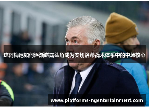 琼阿梅尼如何逐渐崭露头角成为安切洛蒂战术体系中的中场核心