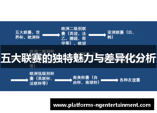 五大联赛的独特魅力与差异化分析 五大联赛的独特魅力与差异化分析