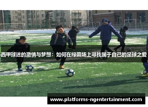 西甲球迷的激情与梦想：如何在绿茵场上寻找属于自己的足球之爱