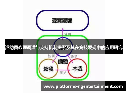 运动员心理调适与支持机制探索及其在竞技表现中的应用研究